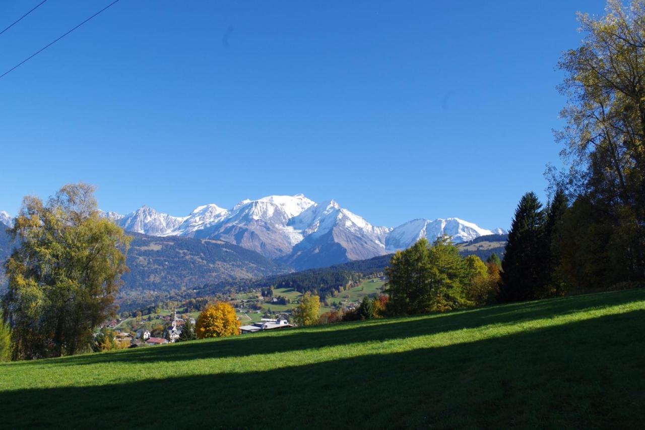 Le Sabot De Venus Chalet Combloux